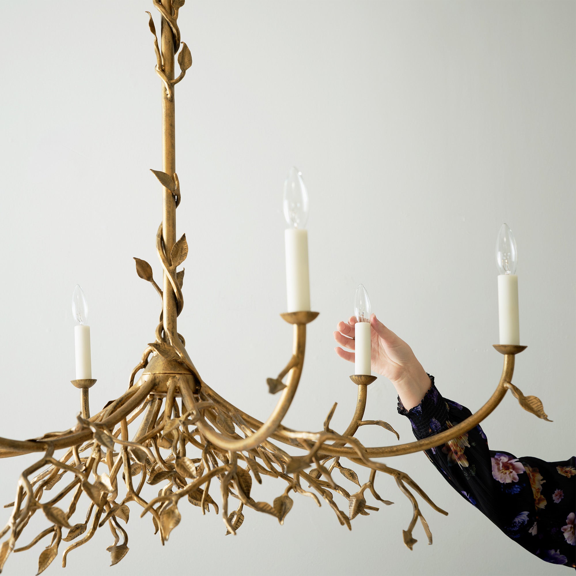 Claire Crowe Collection