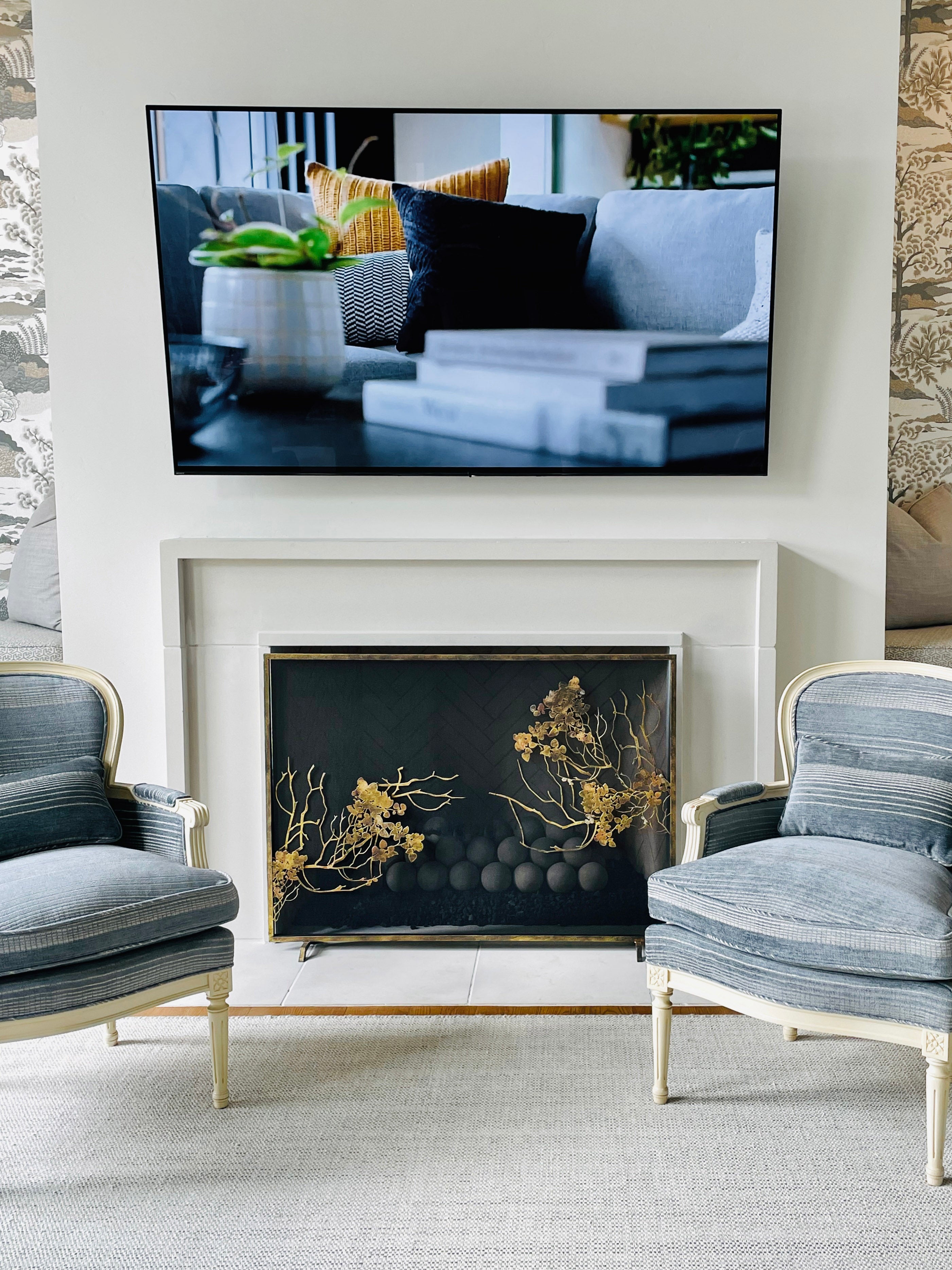 Madalyn Fireplace Screen in Aged Gold