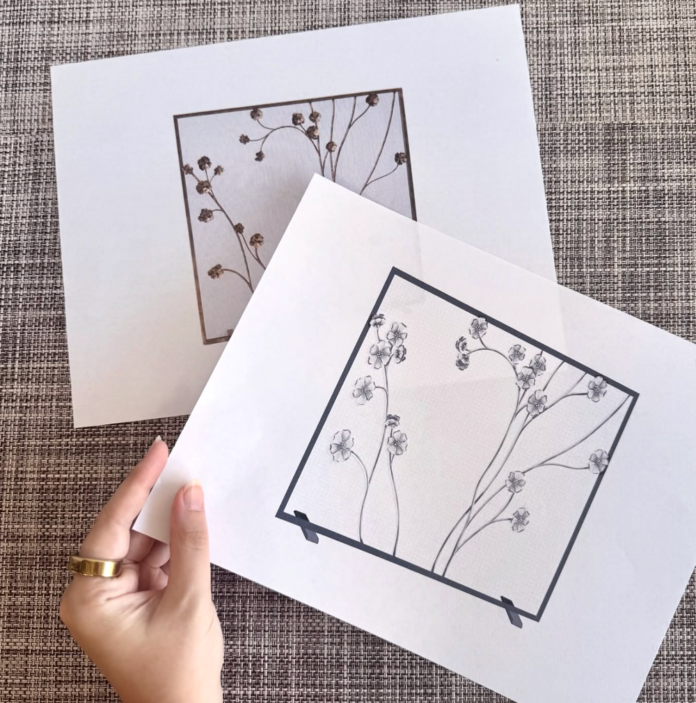 Claire Crowe Collection