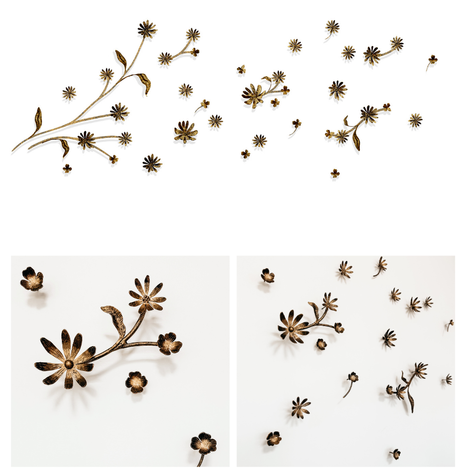 Claire Crowe Collection