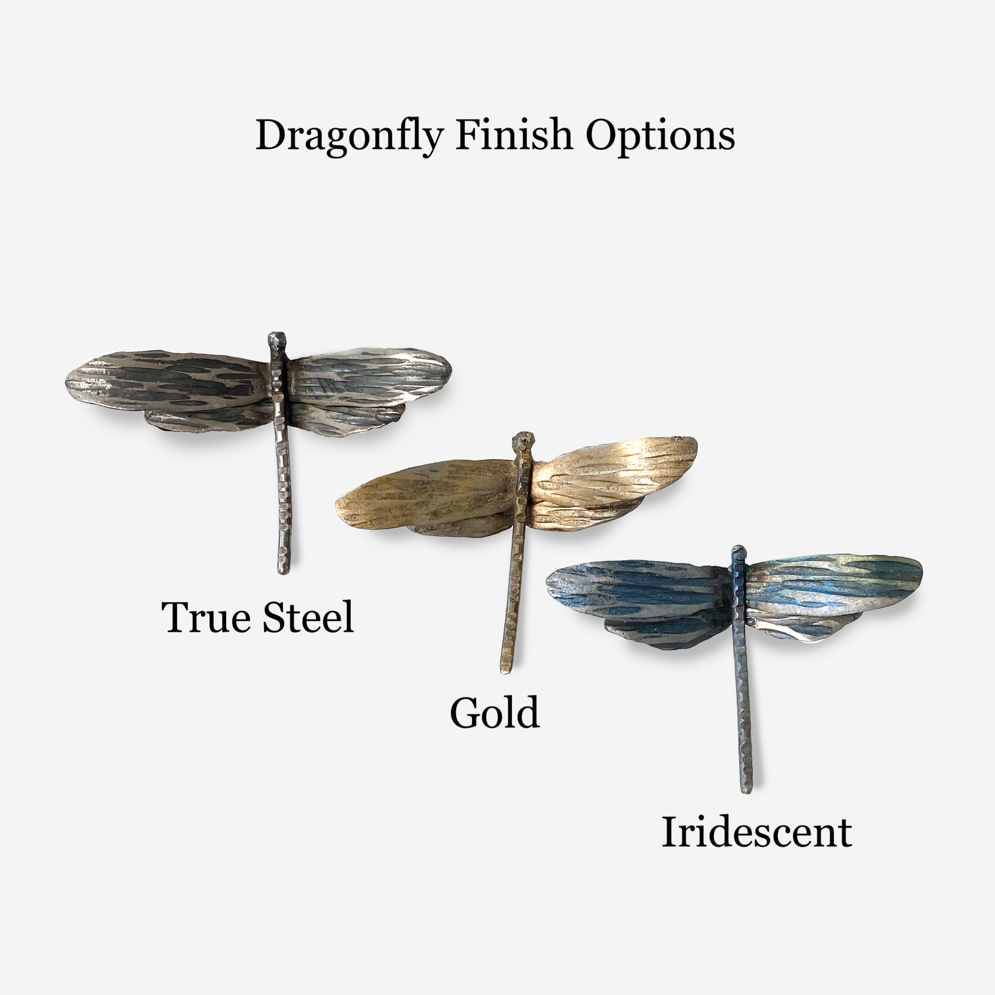 Dragonfly on Acrylic
